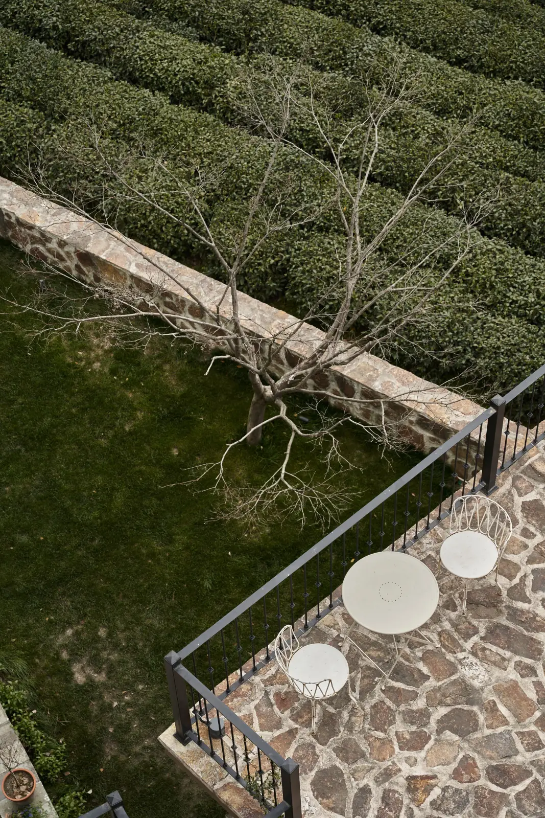 Aerial view of a stone garden wall and bare tree beside clipped hedge rows and a terrace.