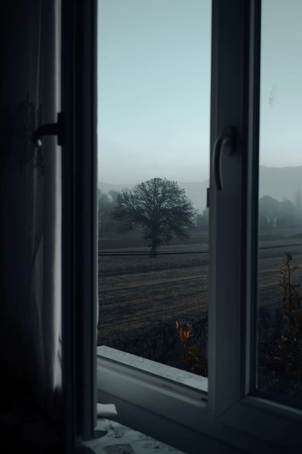 Window looking out over a misty rural field at dusk.